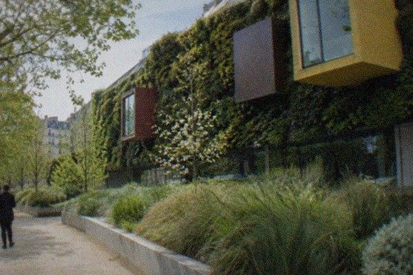 Musée du quai Branly
