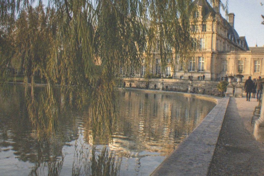 Path along the water garden pond with willow branches hanging over the water and reflections
