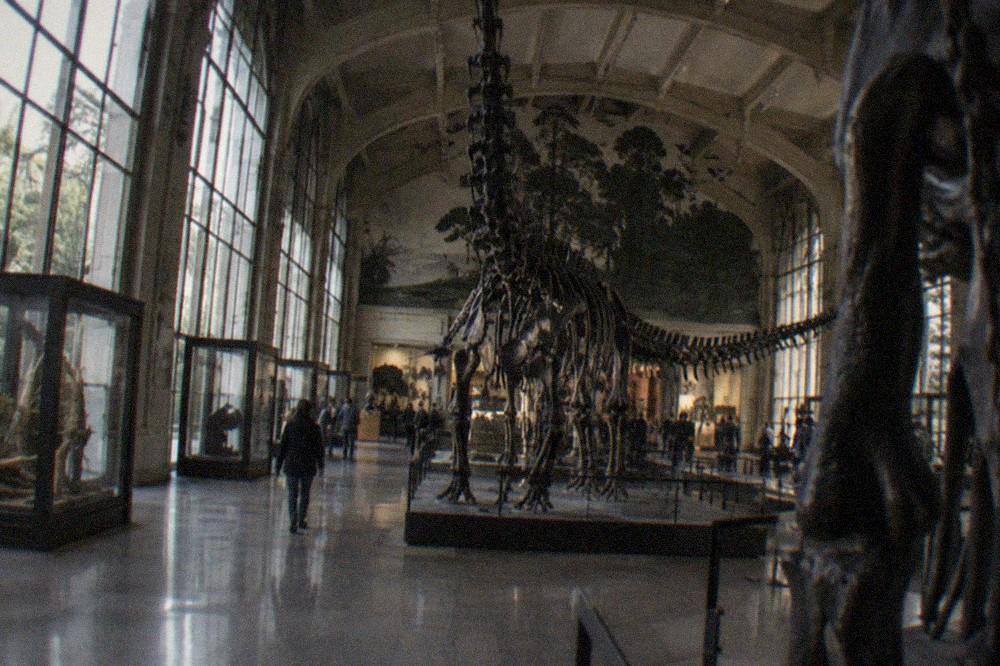 Wide interior hall of a science museum with tall ceilings and exhibition structures