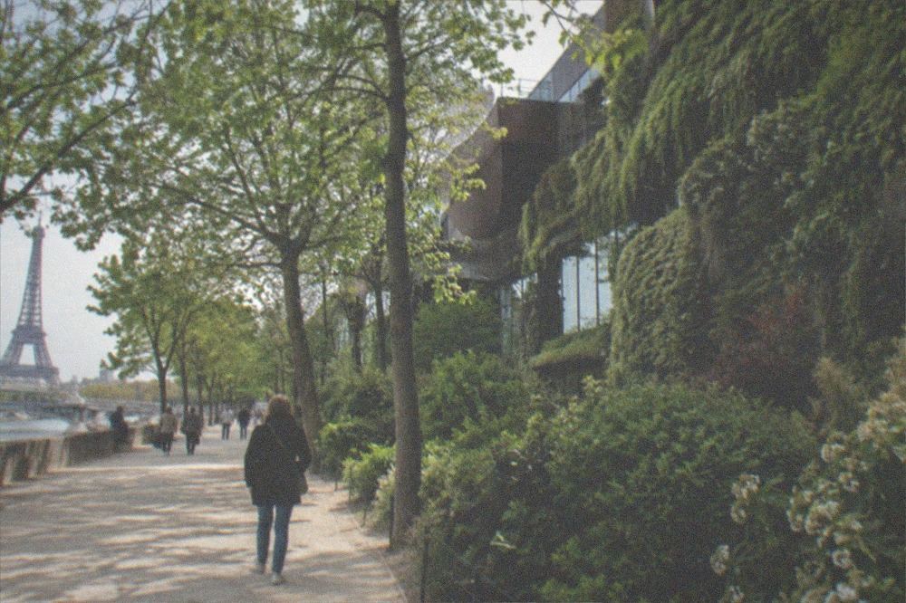A quiet walkway outside the Musee du quai Branly with its planted green facade along the quay
