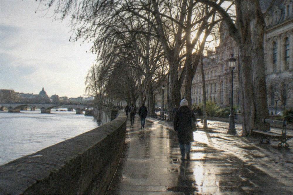 A tree-lined riverside walk with a museum building behind the trees