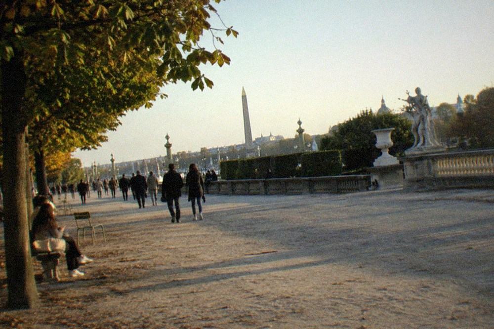 The tree-lined gravel path of the Tuileries garden leading toward the Place de la Concorde