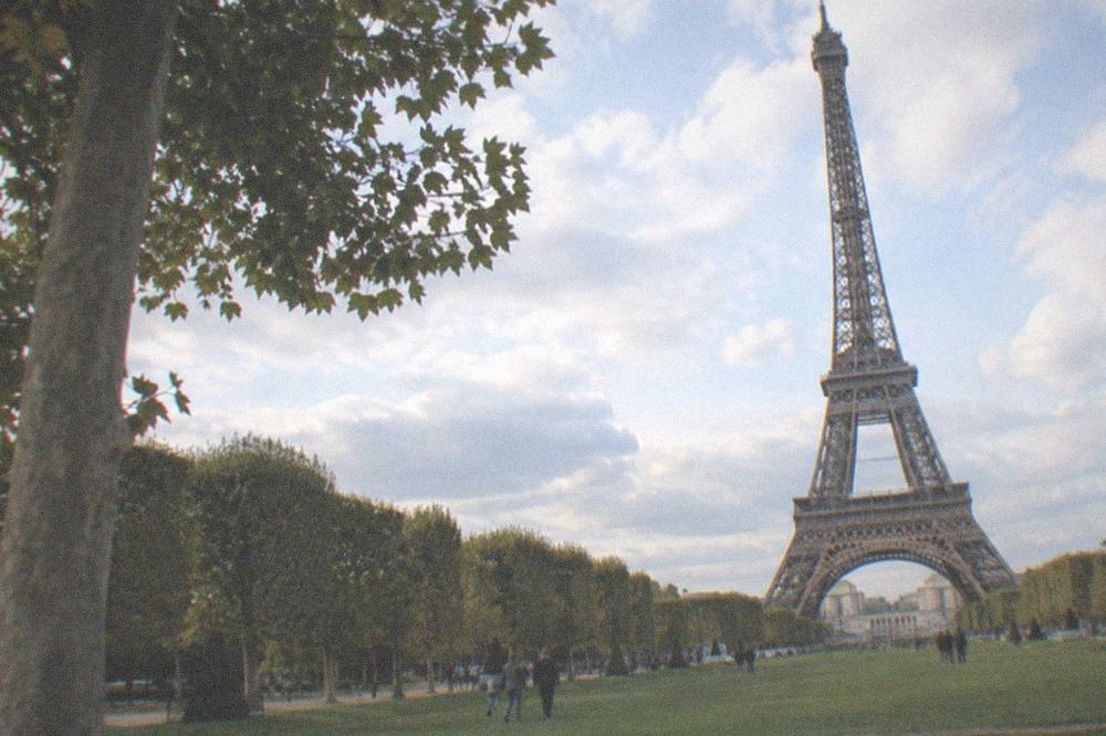 The Eiffel Tower rising above the Champ de Mars lawns