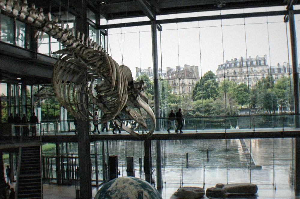 Modern science museum interior with a high glass facade and open walkways