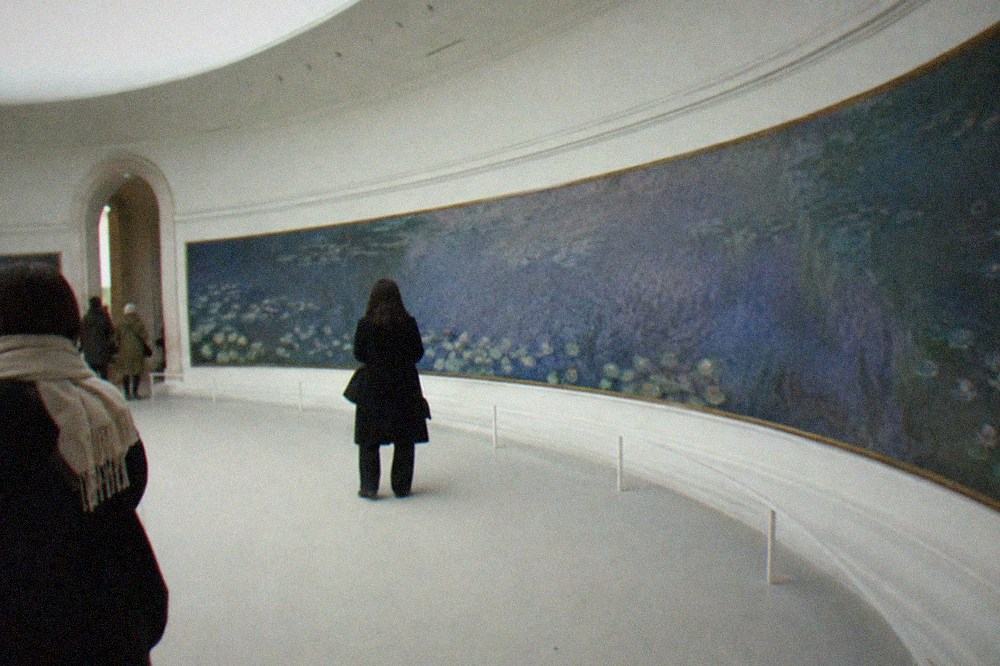 Oval water lily panoramas wrapping the curved walls of a daylit museum room